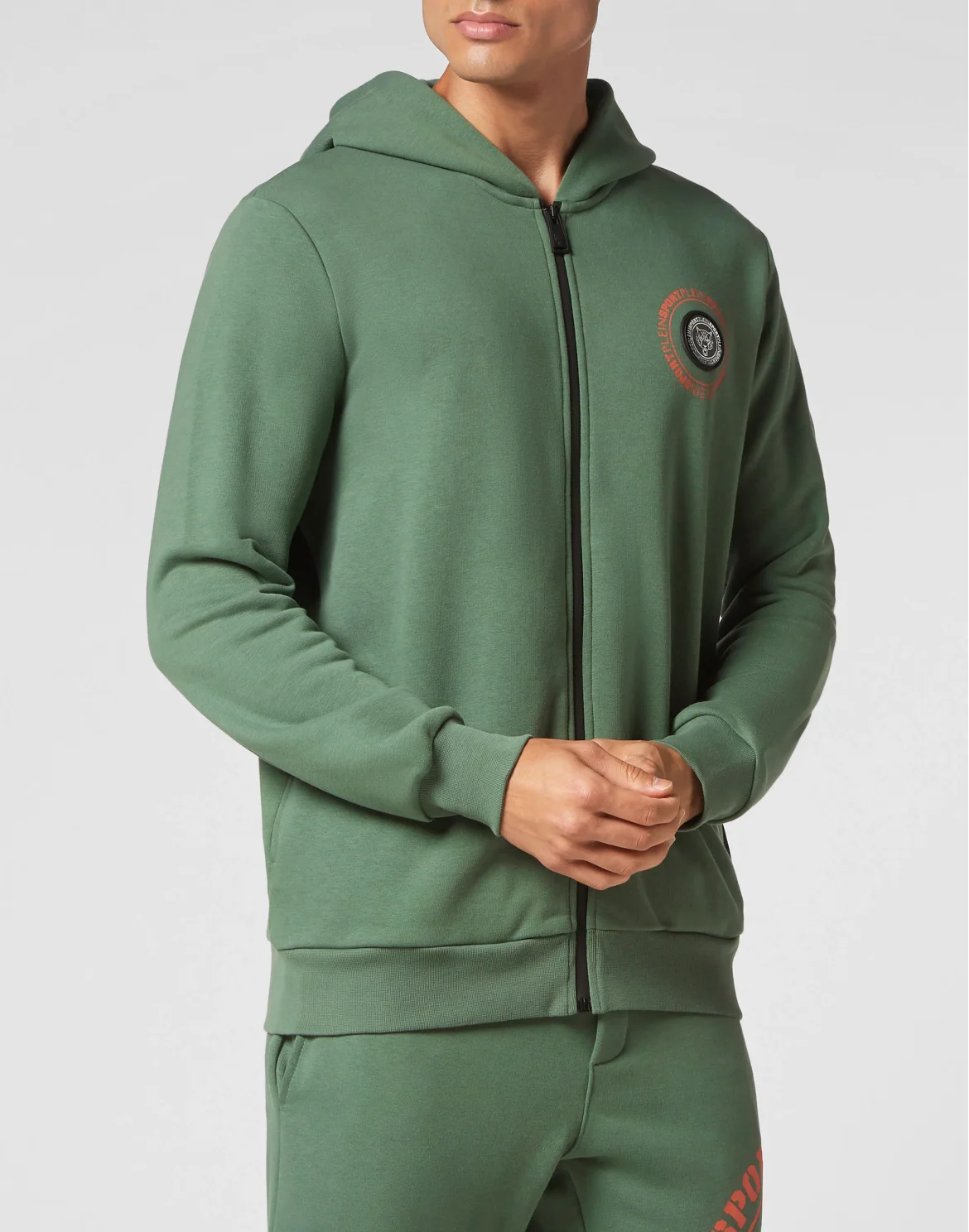 Jogging Tracksuit: Hoodie Sweatjacket/Trousers Tiger, цвет: Серый