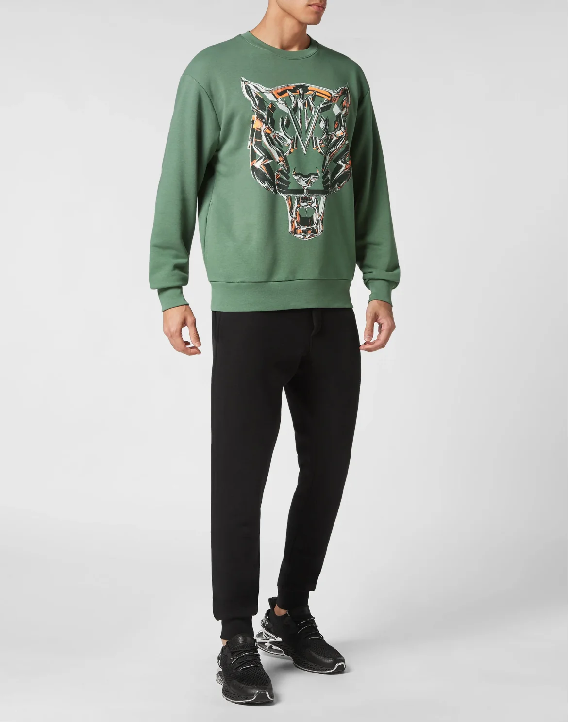 Sweatshirt LS Chrome Tiger, цвет: Серый