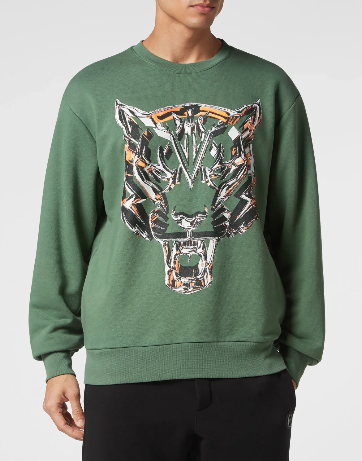 Sweatshirt LS Chrome Tiger, цвет: Серый