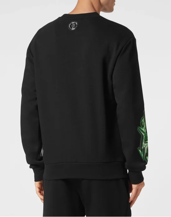 Sweatshirt LS Thunder Tiger